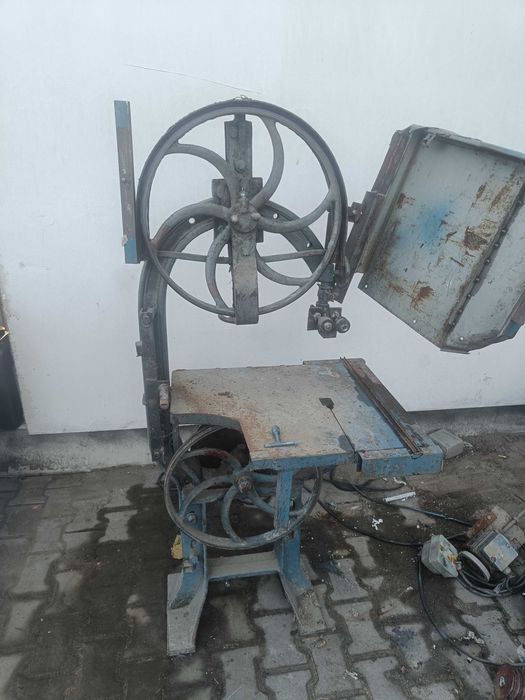 Pila tasmowa do drzewa