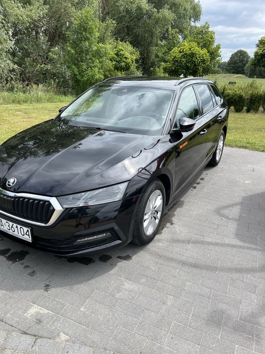 Wynajem Aut Osobowych, Dostawczych , Busów oraz Lawety