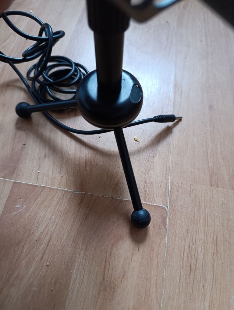 Mikrofon na statywie