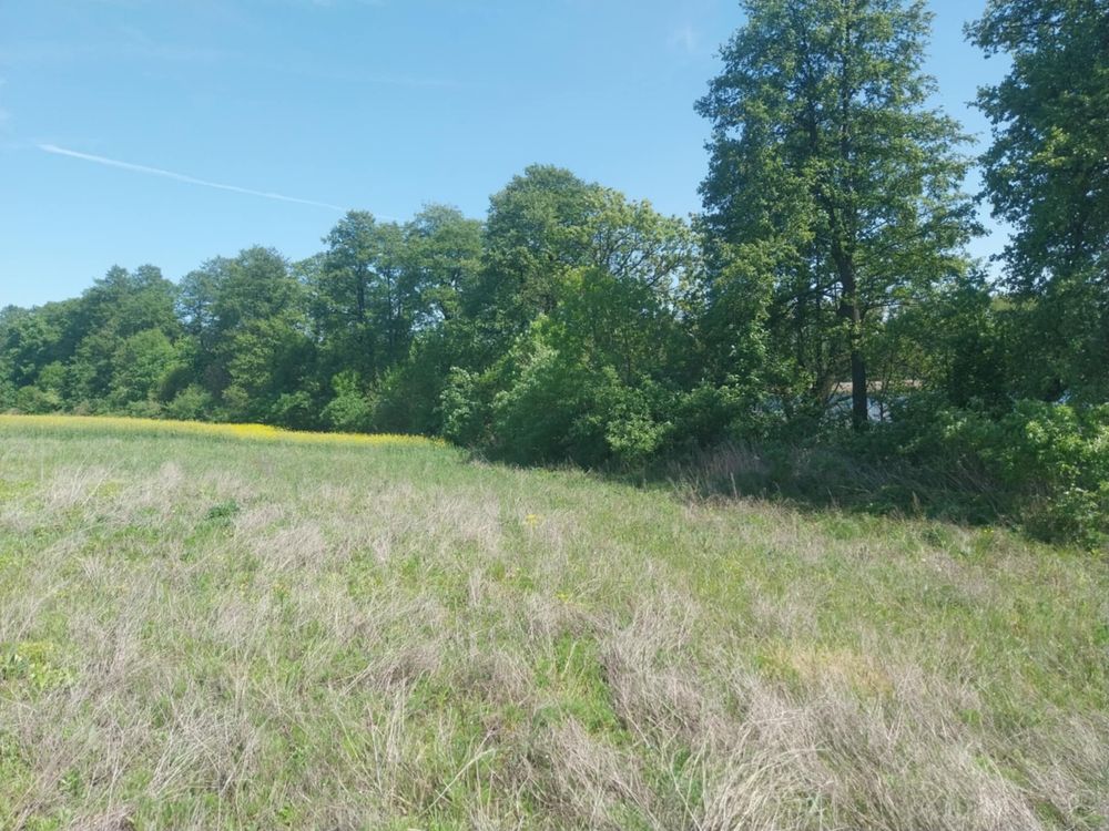 Działka nad jeziorem z linią brzegową