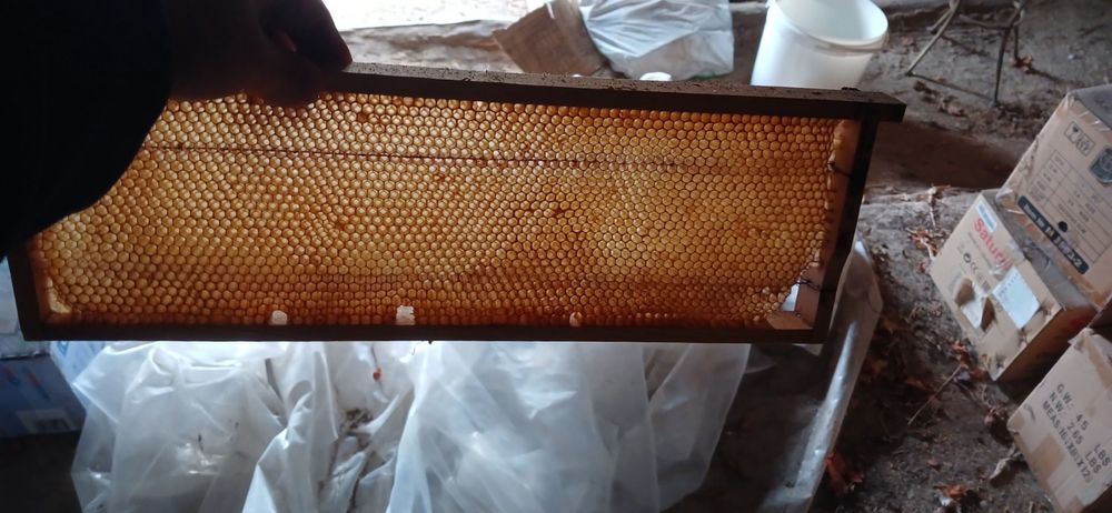 Продам вулики, рамки
