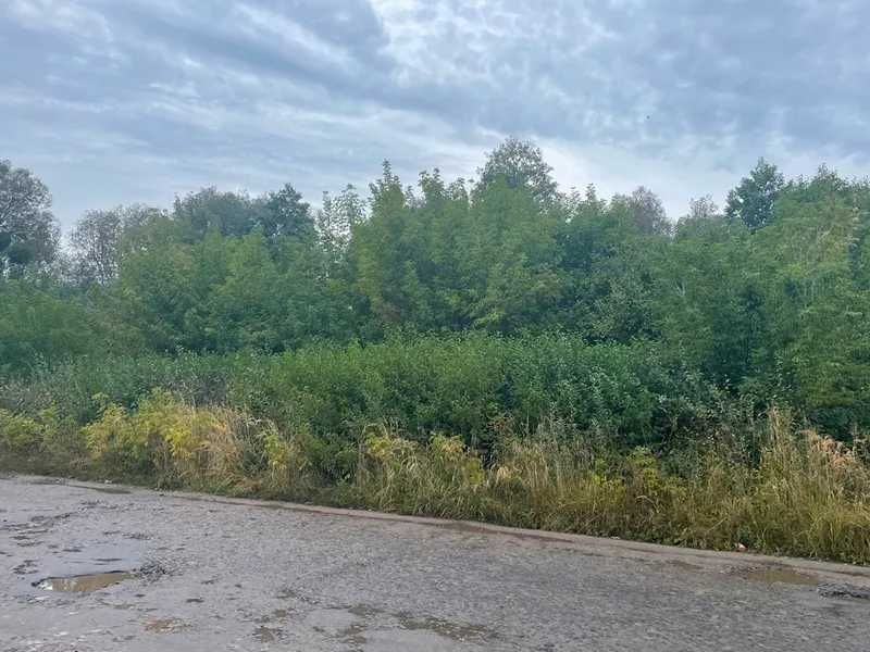 Земельна ділянка (0,2400га) - м. Броди Львівська обл.