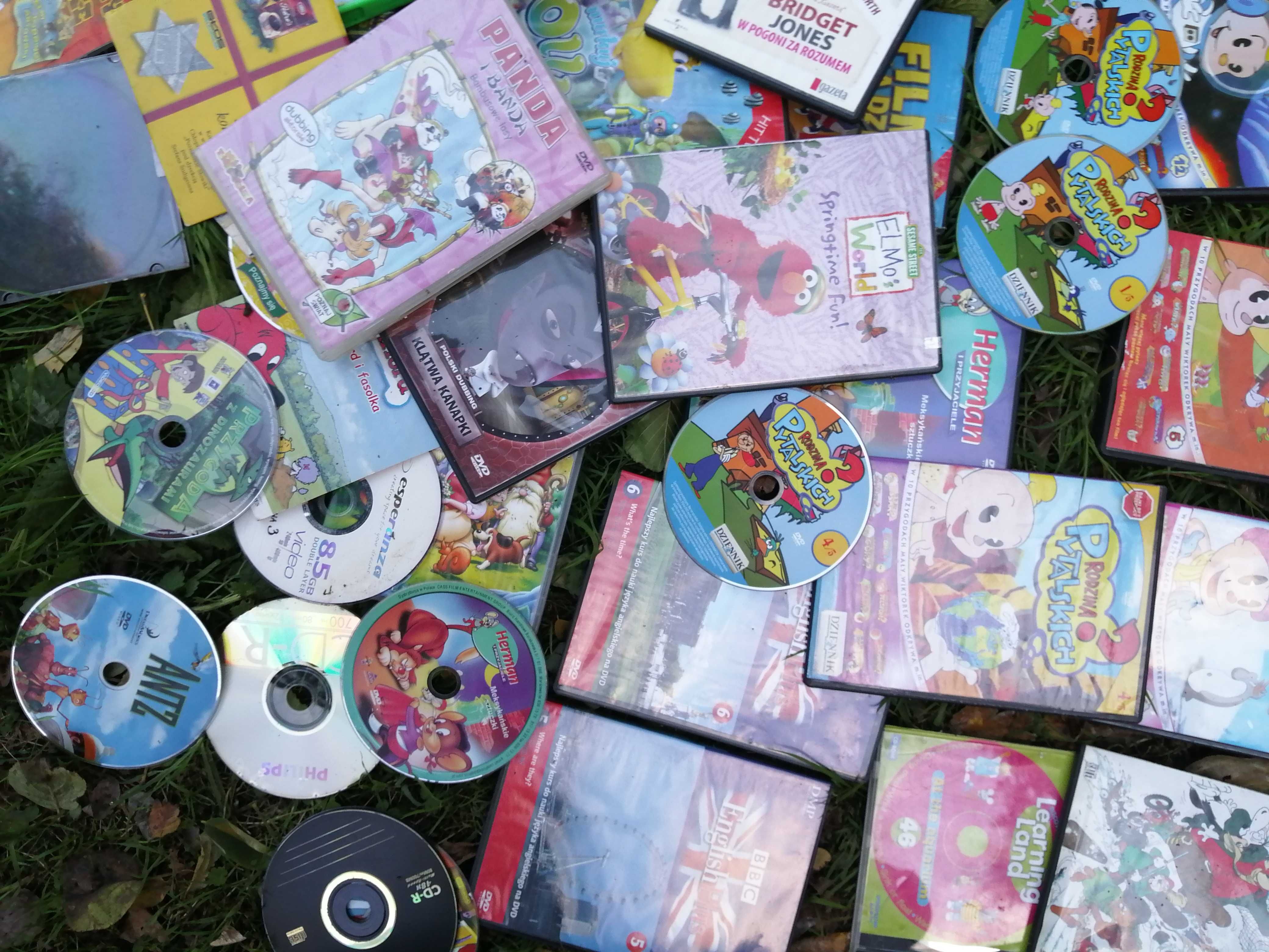 Duży zestaw płyt Dvd bajki Pytalscy 60 Miś Shrek dla dzieci