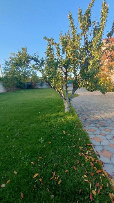 Продам добротный дом в Палиево на 20 сотках.