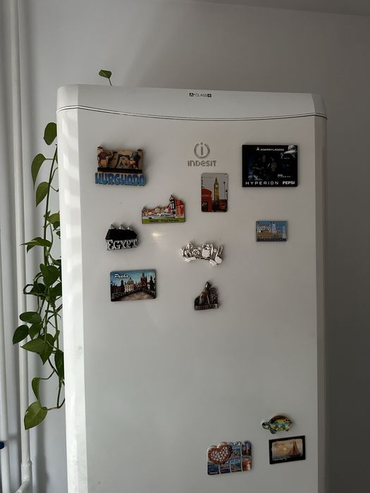 Lodówka Chłodziarko-zamrażarka Indesit BAAN 13L