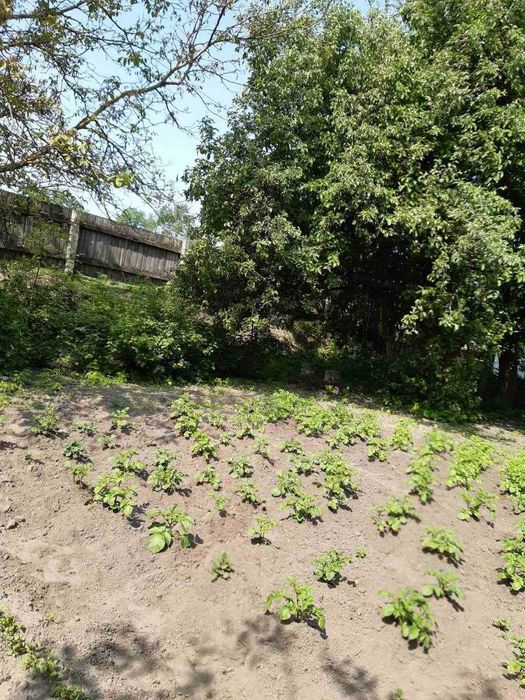 Ділянка 9 соток у садовому товаристві "Якір", приватизована RD