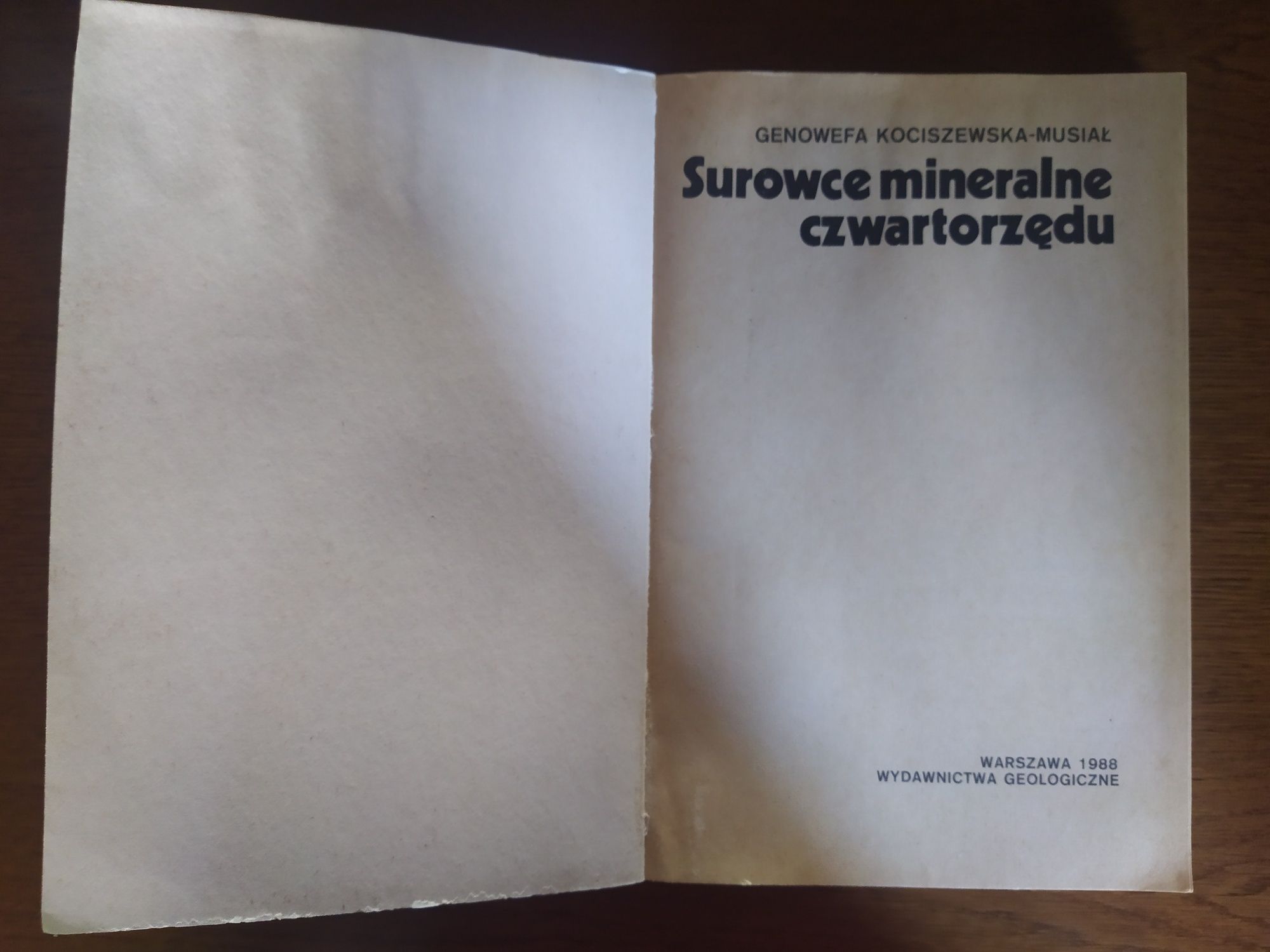 Książka Surowce mineralne czwartorzędu