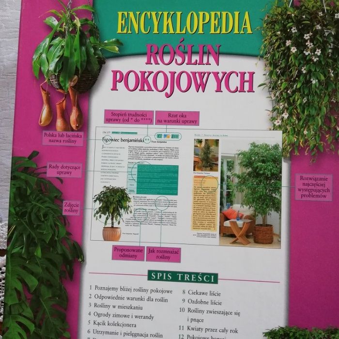 Encyklopedia roślin pokojowych 1000 cennych rad