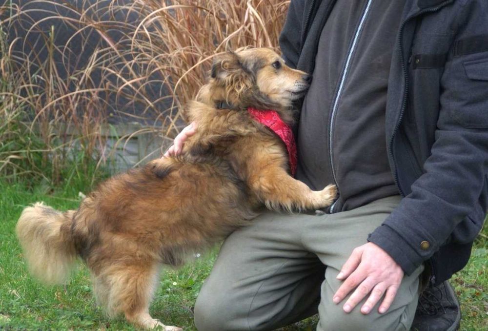 Malutki niewidomy piesek Kapi szuka domu na zawsze!