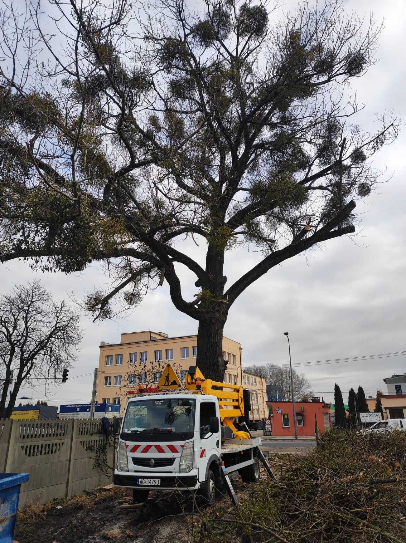 Wycinka drzew, przycinanie żywopłotów, zrębkowanie gałęzi,usuwanie pni