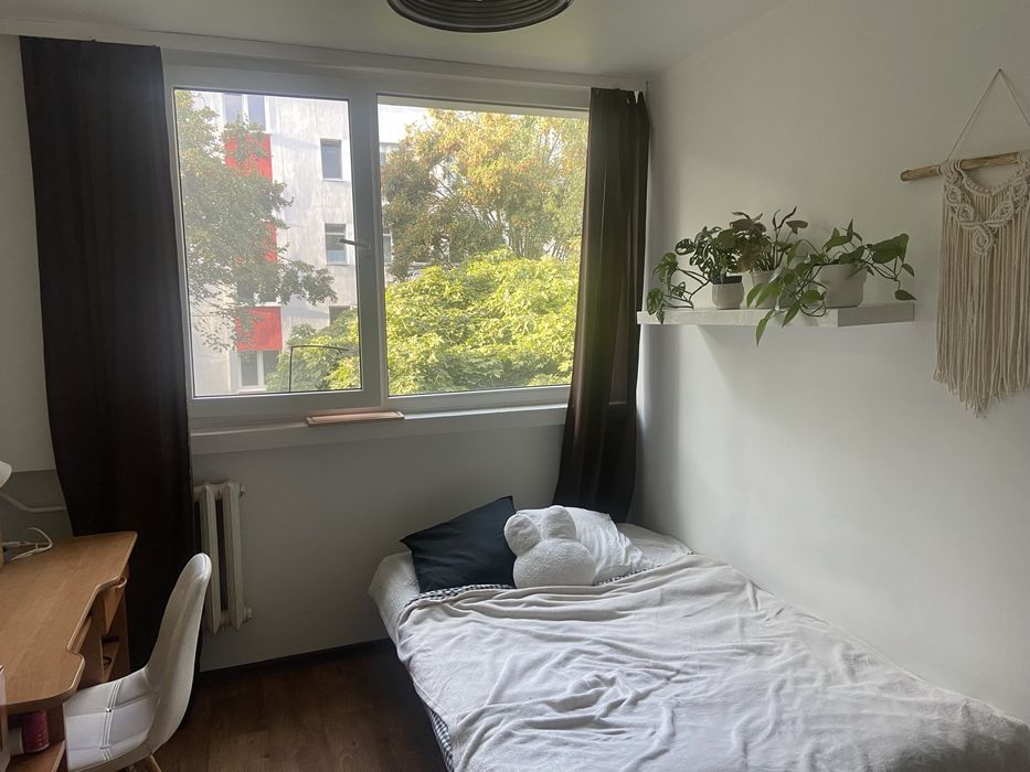 pokój wrocław na wynajem