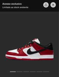 Nike dunk sb chicago