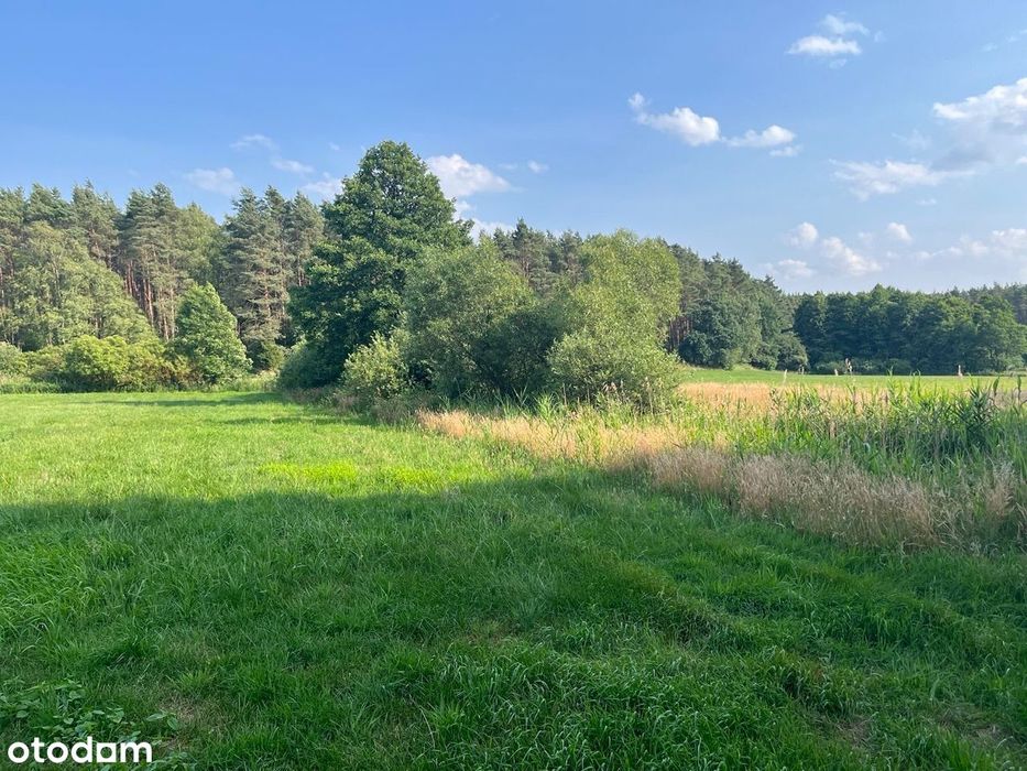 Pięknie położona działka / polana w środku lasu