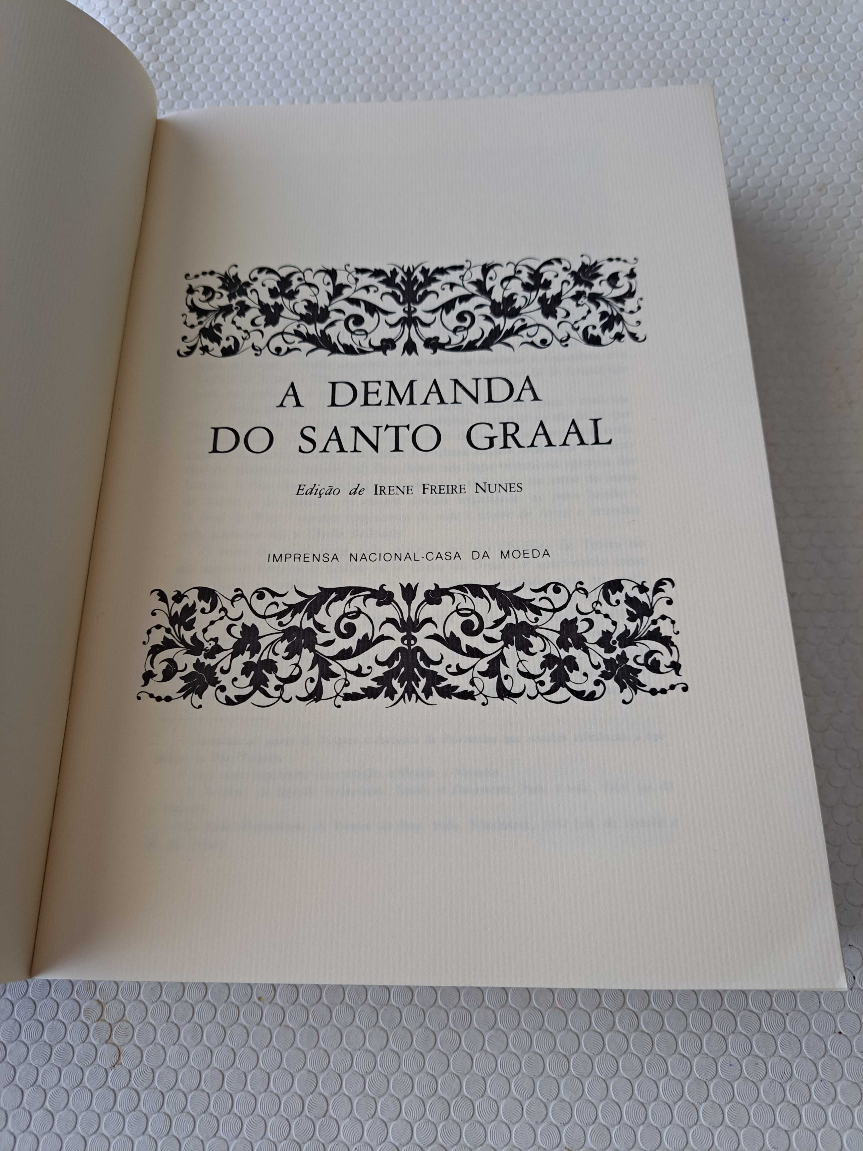 A Demanda do Santo Graal - Edição de Irene Freire Nunes - INCM