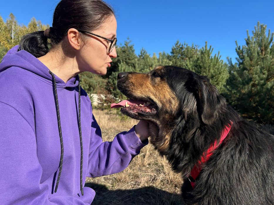 Klusię wyrzucono w lesie. Adoptuj, uratuj!