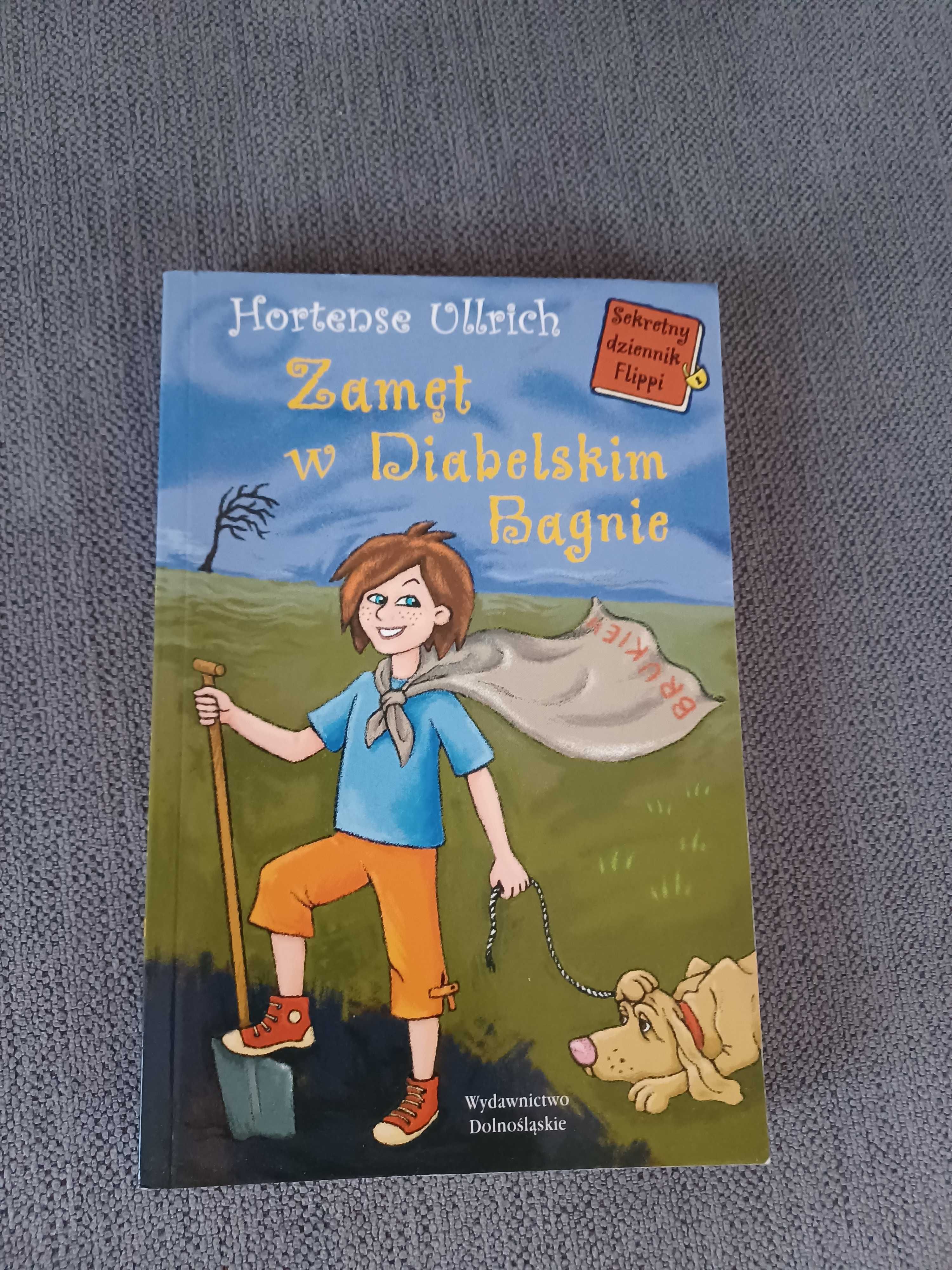 książka dla dzieci Zamęt w Diabelskim Bagnie