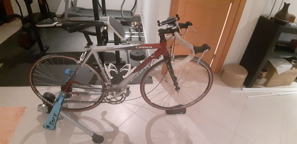 Orbea asphast de estrada