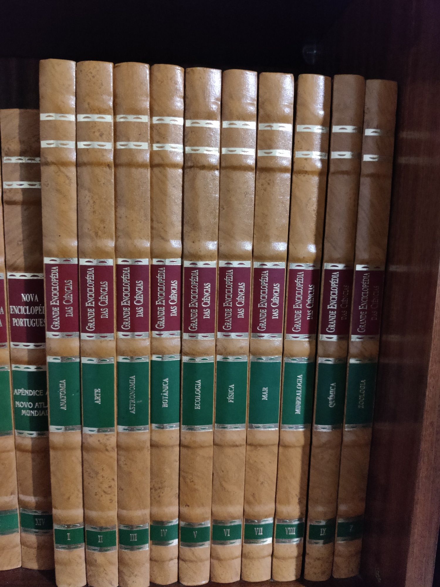 Enciclopédia - Coleção de 24 Volumes