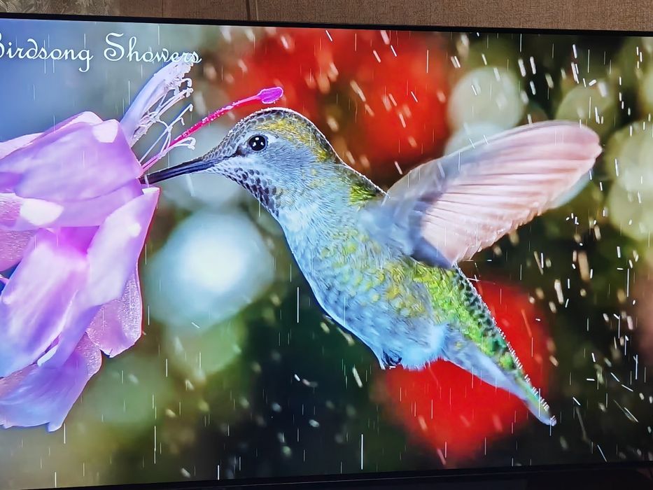 Телевизор LG OLED 65 B13LA