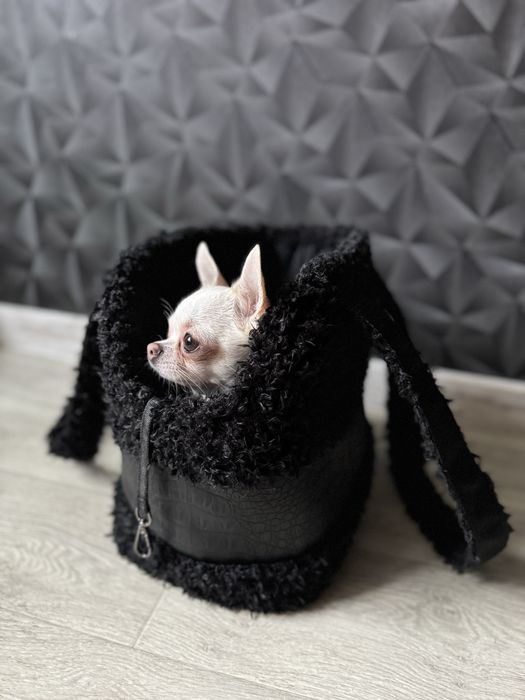 Сумка переноска лежак ступеньки лежанка автокресло для собак