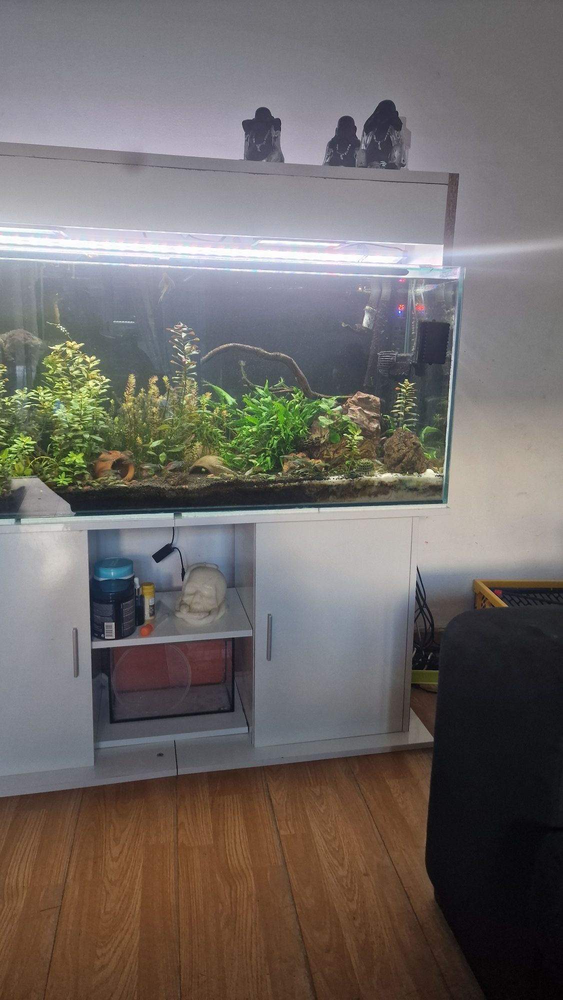vendo aquario + movel e luzes
