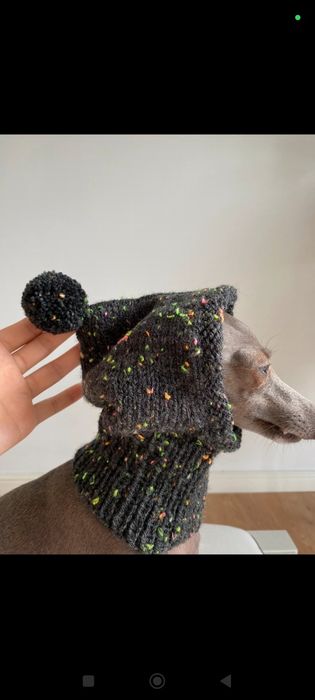 Handmade czapeczka dla psa whippet jamnik sznaucer
