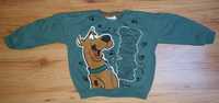 Bluzka Scooby-Doo Pepco rozmiar 104