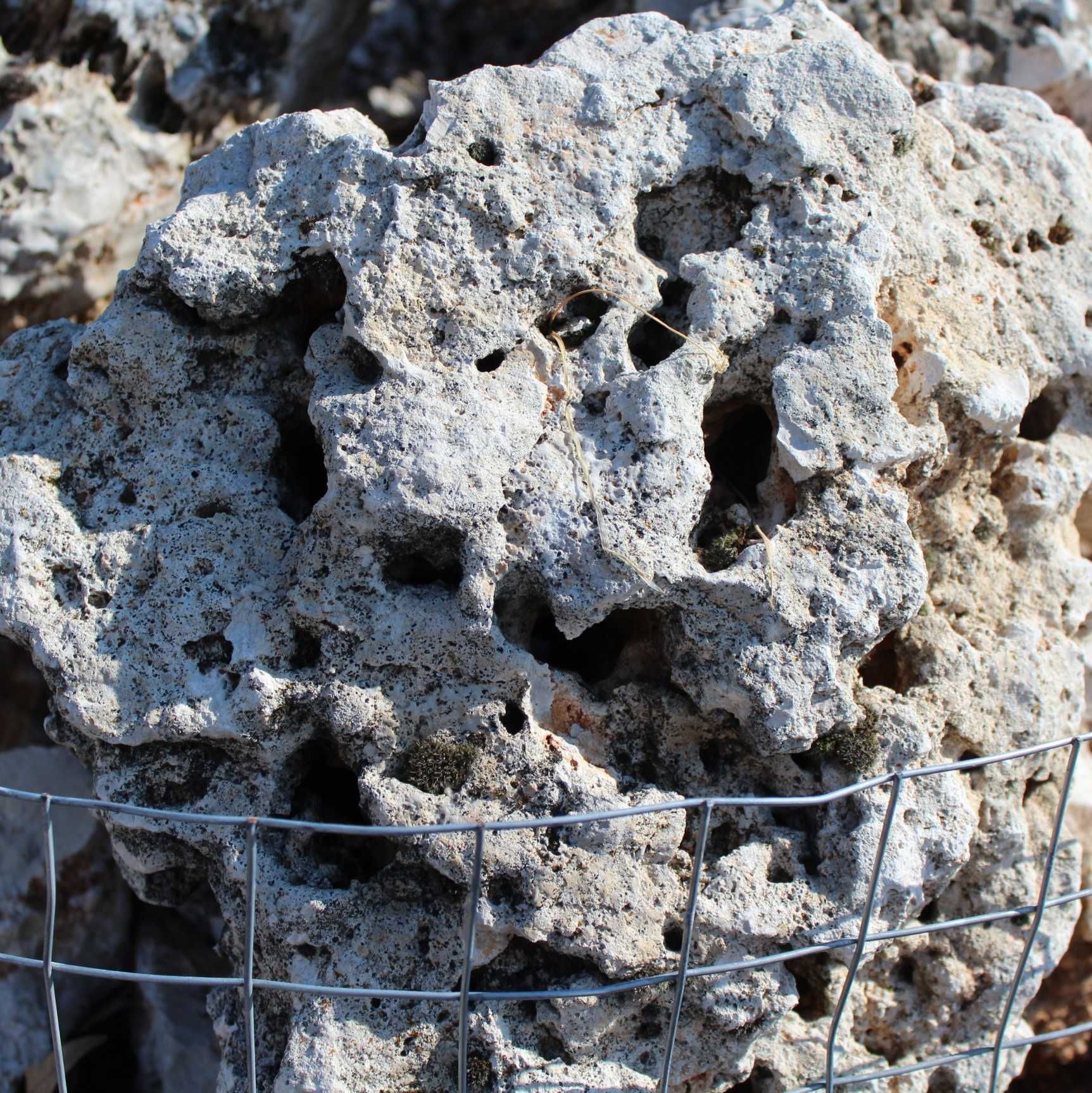 Bryłka moon stone; kamień księżycowy
