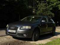Audi A3 Audi A3 8P 2.0 FSI
