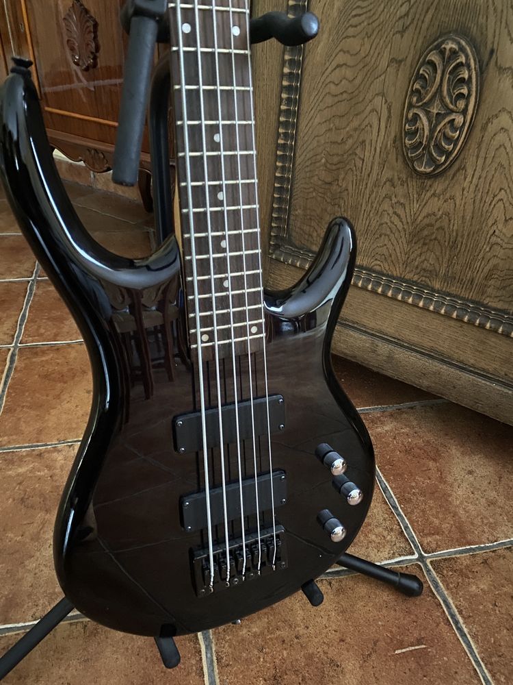 Gitara basowa Epiphone Embassy Standard V pięciostrunowa jesion bagien