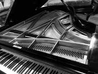 Fortepian marki Berdux 195 w cenie pianina