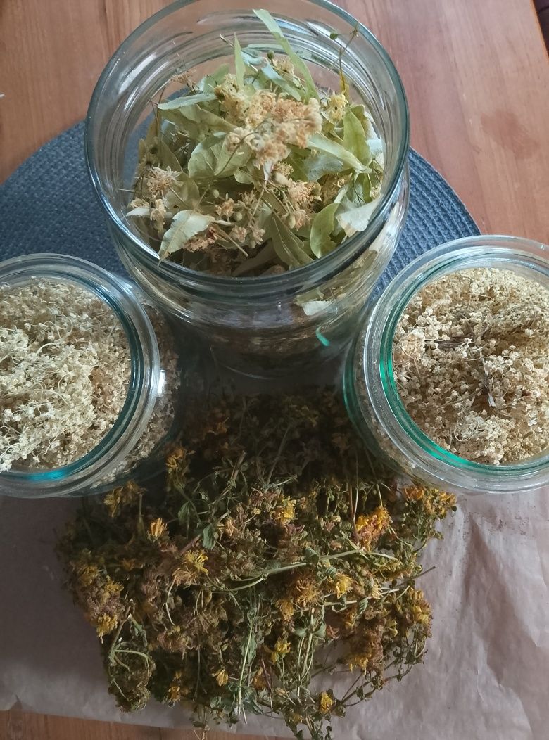 Zioła suszone naturalnie rosnące