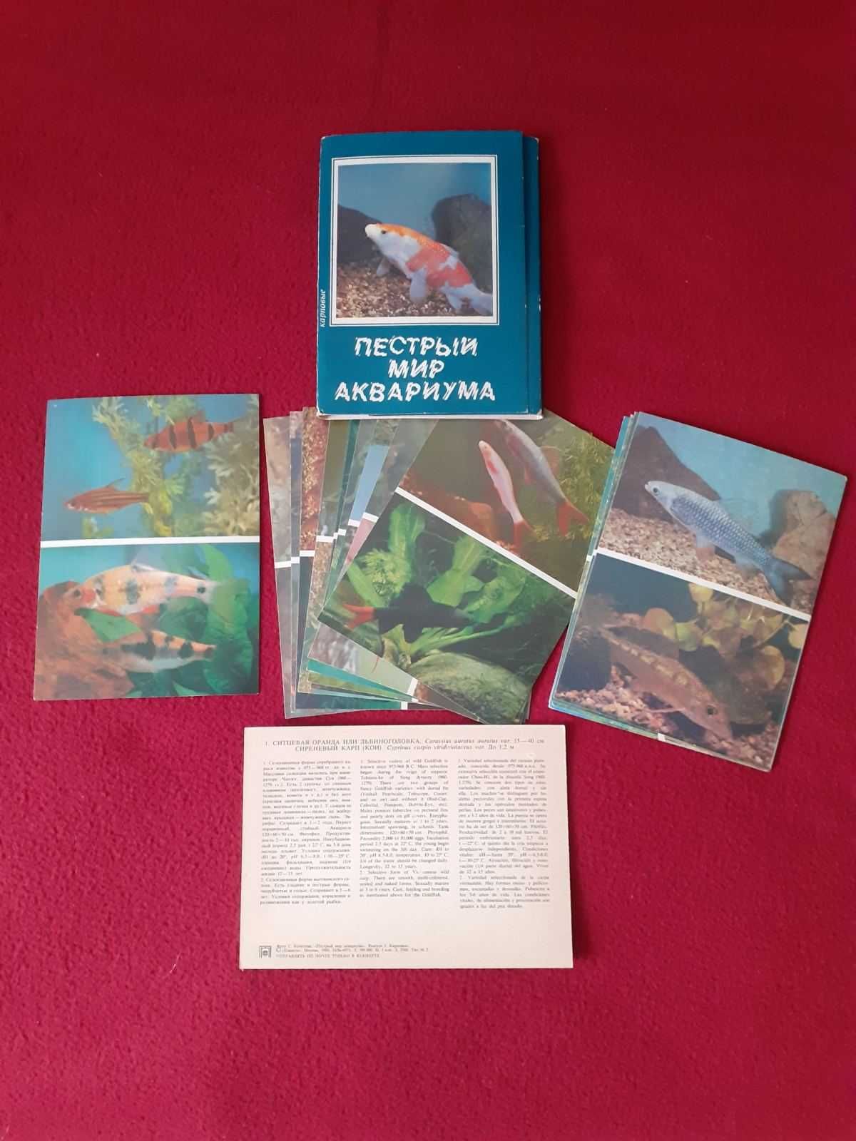 Набор открыток (17 шт.) аквариумных рыбок с полной характеристикой