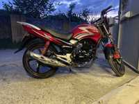 Geon pantera 2   Cbf150