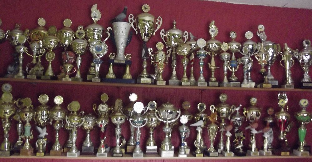 Gołębie Pocztowe rozpłodowe i lotowe  Wielokrotny Mistrz