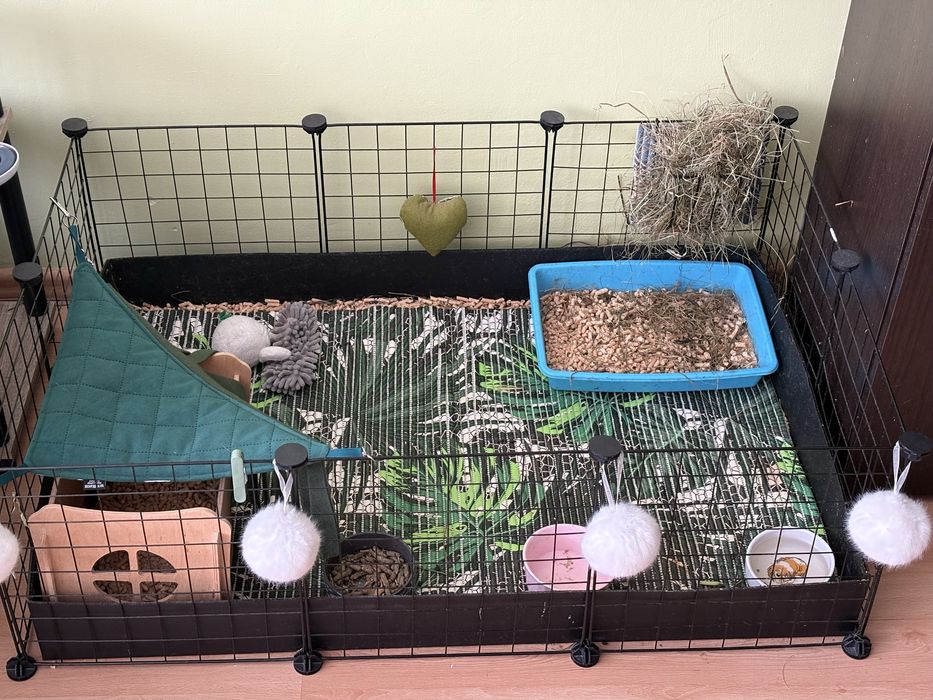 Klatka modułowa z kuwetą