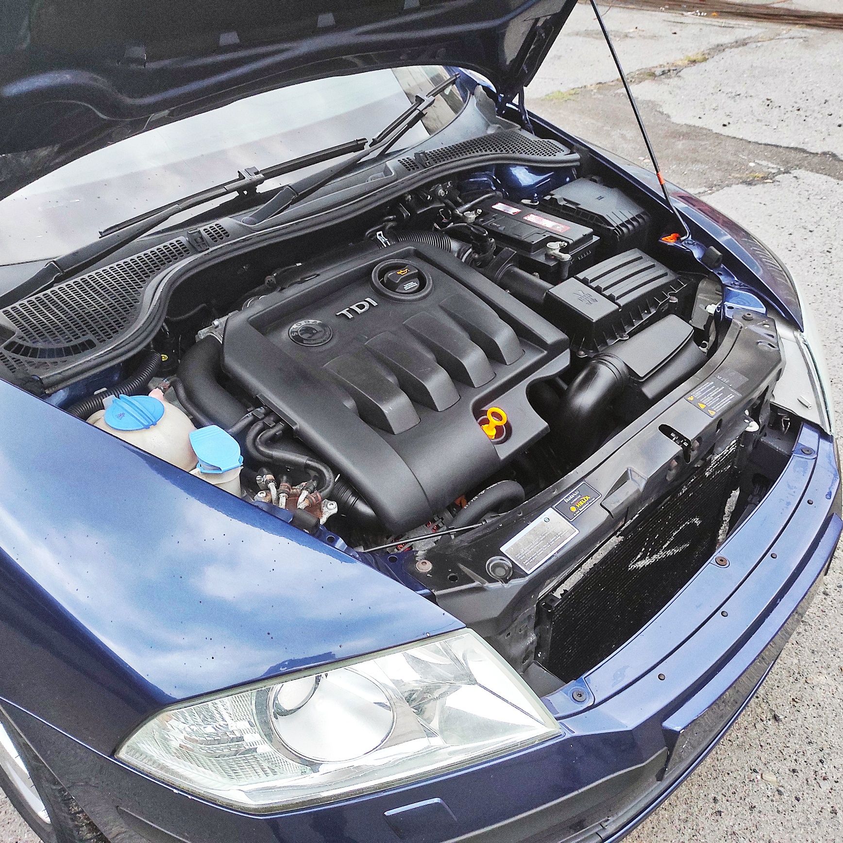 Шкода Октавія А5 Skoda Octavia A5