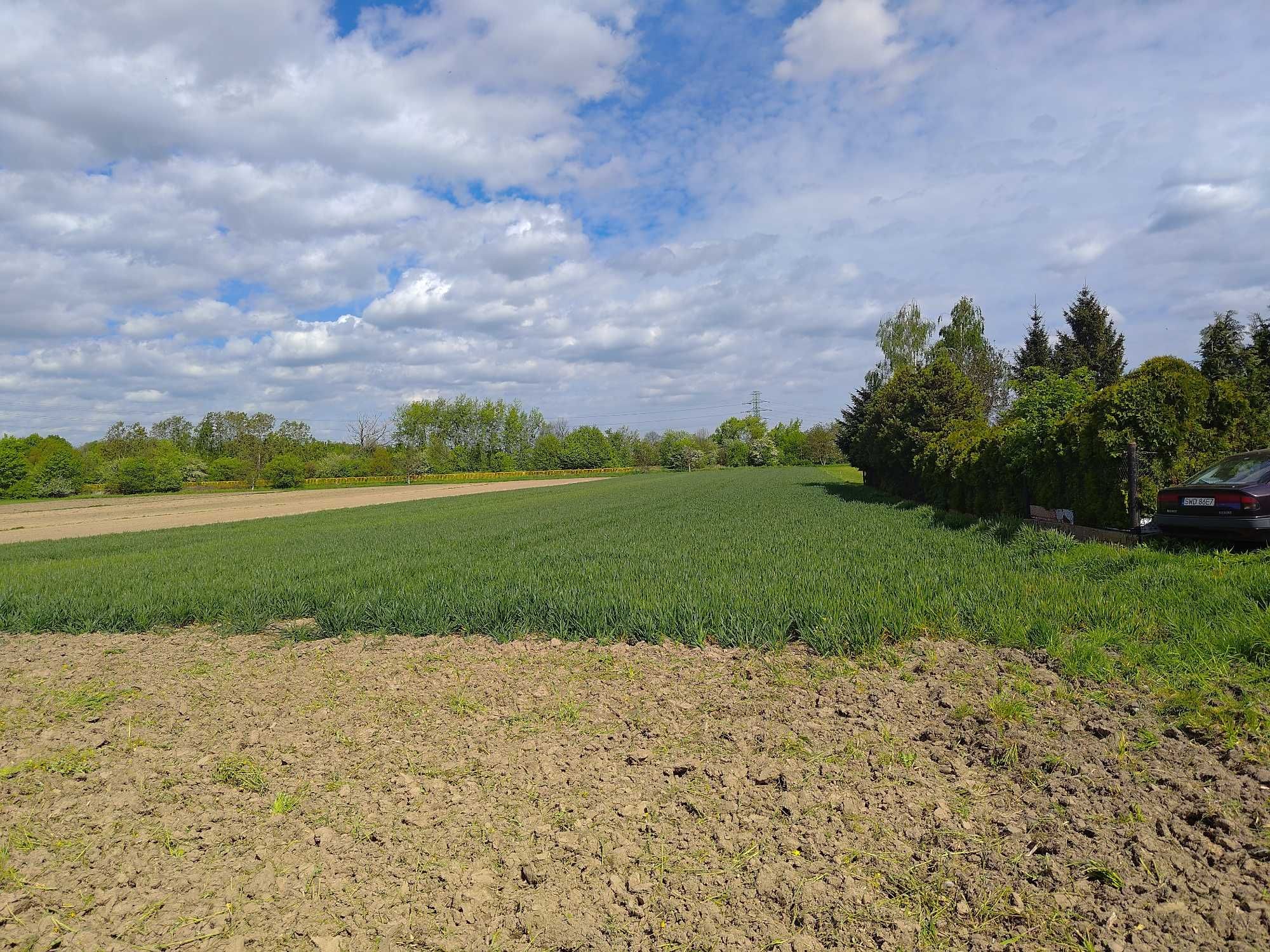 Działka Gliwice - Bojków 6000m2