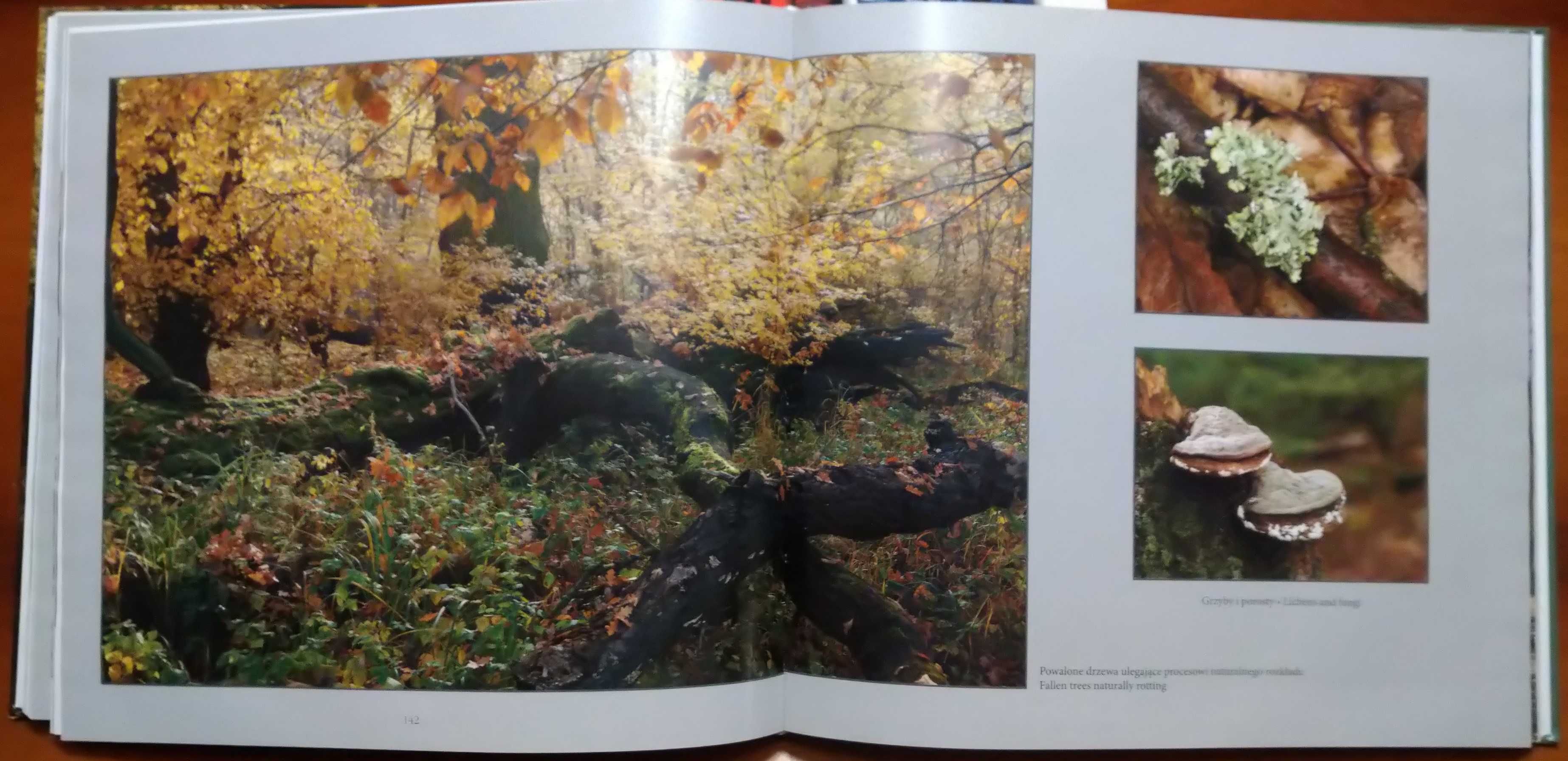 Album - Żerkowsko - Czeszewski Park Krajobrazowy.