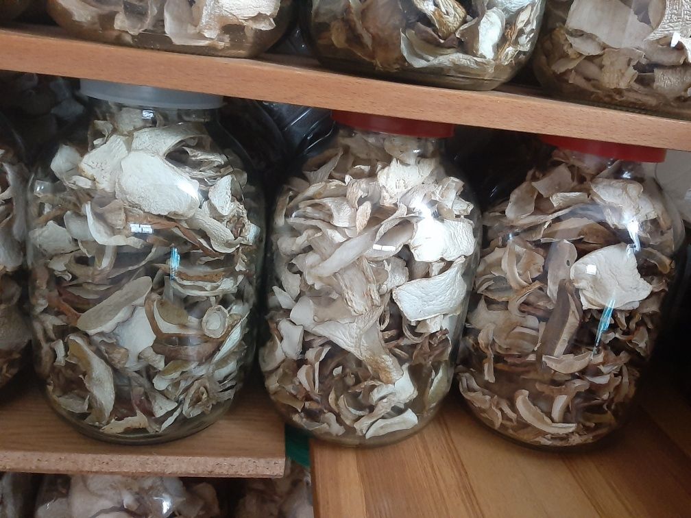 грибы белые сушеные без песка Закарпатья