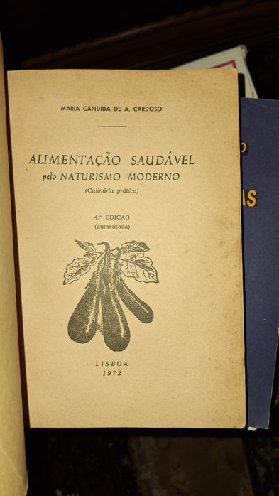 Alimentação Saudável livro receitas Maria Candida Cardoso 4 edição