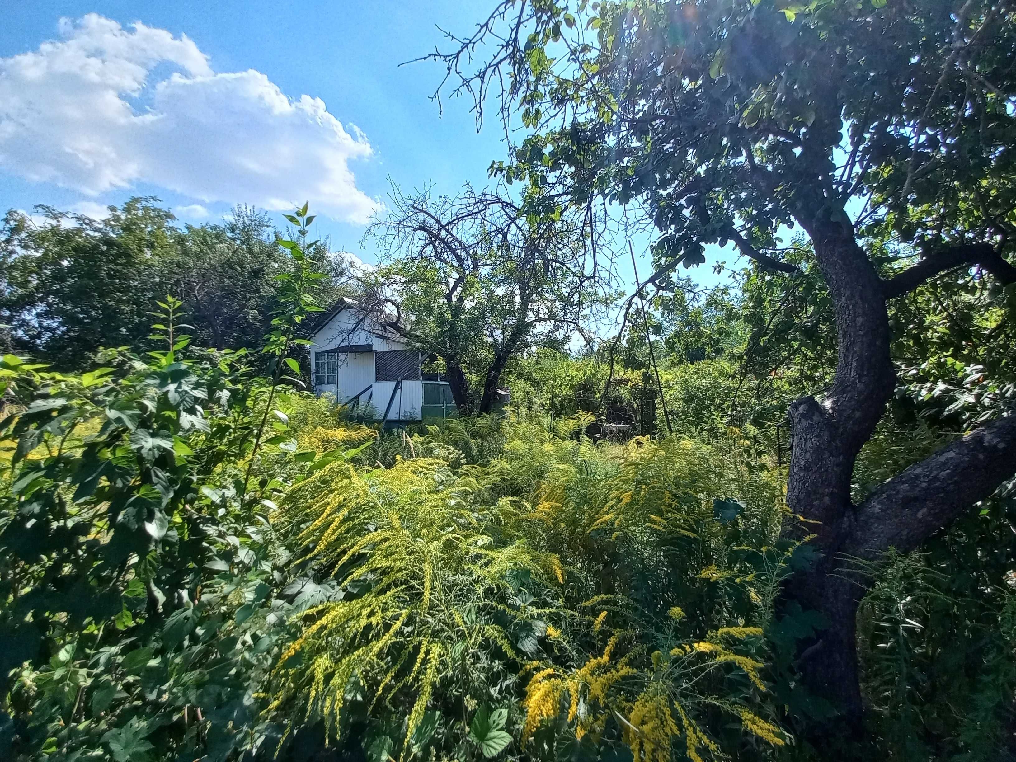 Ціна знижена! Дача у Києві, Воскресенські сади, два озера, Дарниця