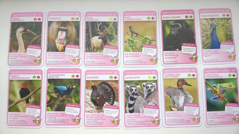 karty super zwierzaki cena z a całość
