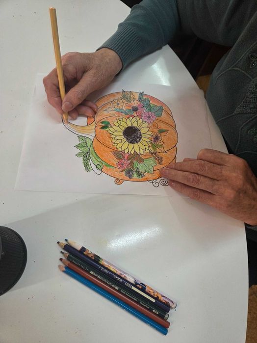 Apoio ao idoso (autonomo ou acamado) Marvilha e arredores