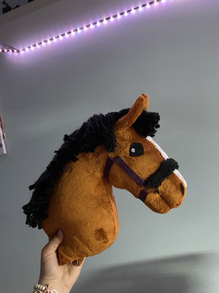 hobby horse rudy