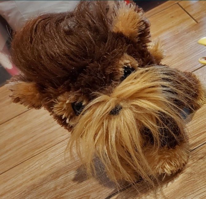 Hasbro Fur Real Friends Pies Kudłaty Shaggy interaktywny