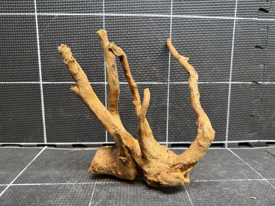 Korzeń red moor wood n-225