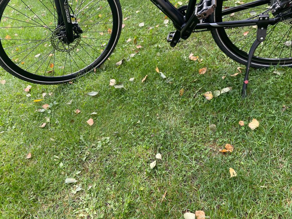 Rower crosowy/gravelowy Shimano Deore 1×12, hydraulika, aluminiowy 28