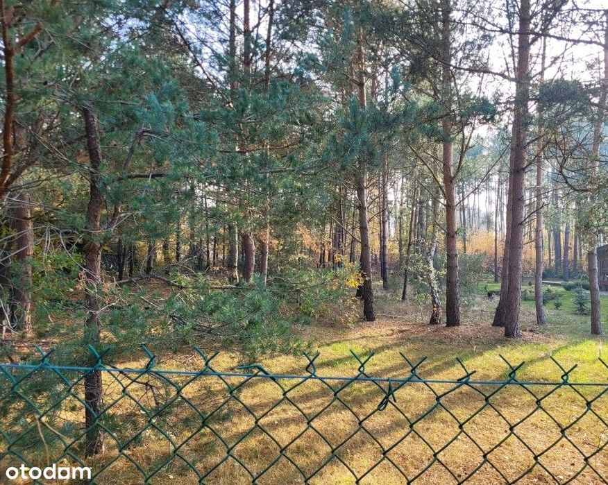 Atrakcyjna działka budowlana w Rozgartach
