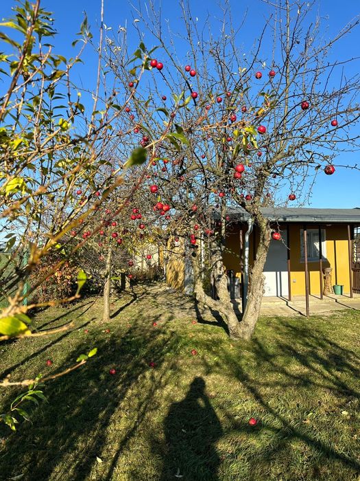 Działka rekreacyjna